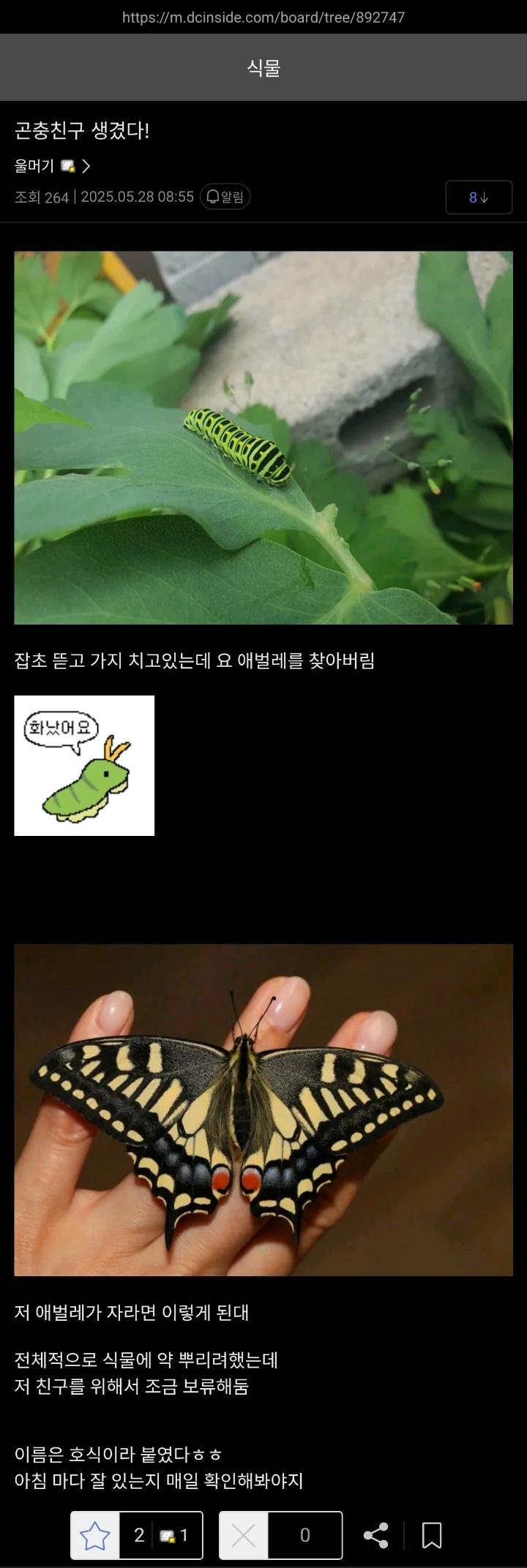 나비를 키워낸 식물갤러