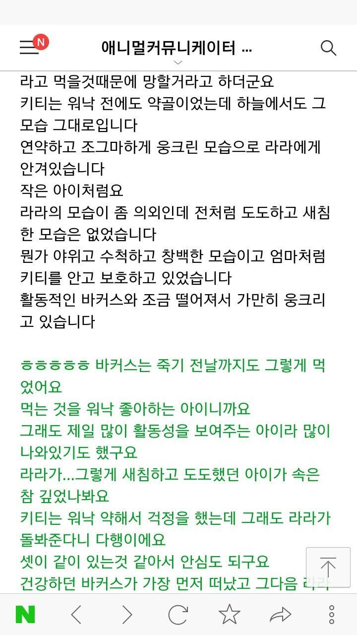 아이들과의 영혼교감내용 혹시 참고 될까봐 해서 올려