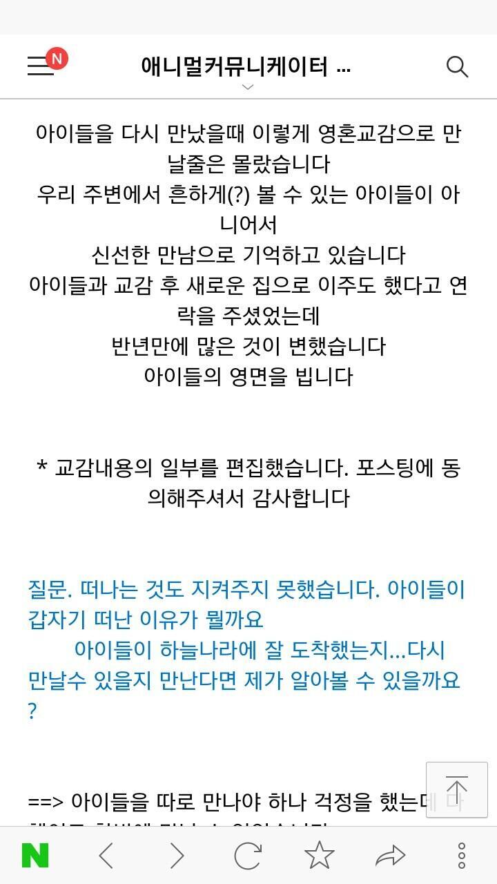 아이들과의 영혼교감내용 혹시 참고 될까봐 해서 올려