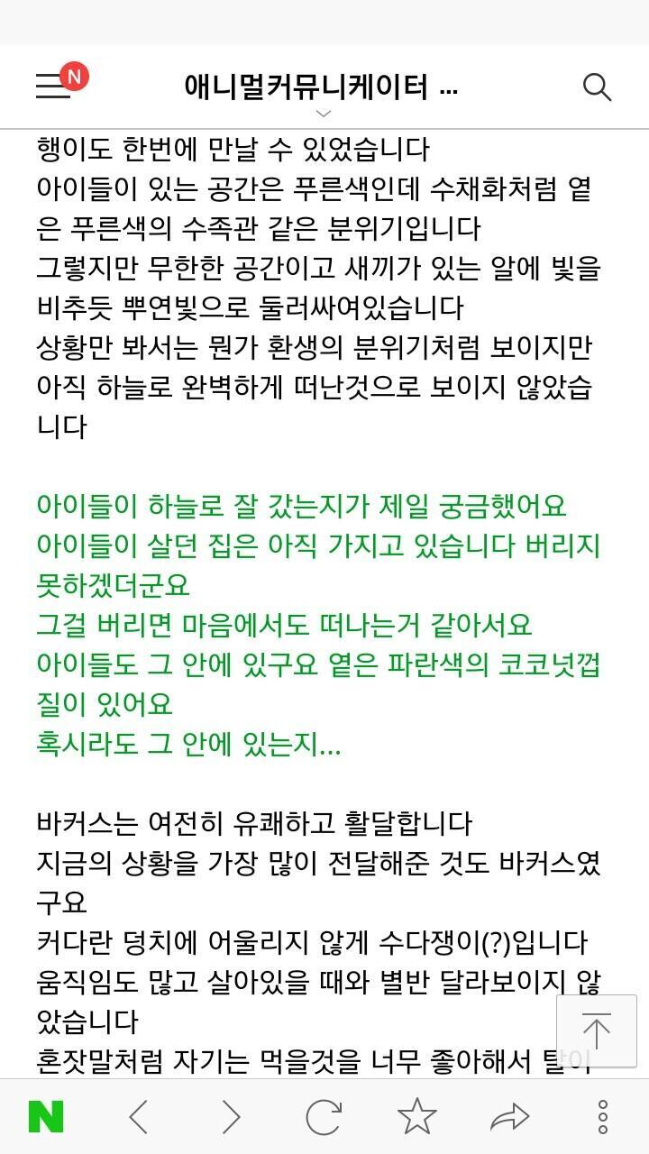 아이들과의 영혼교감내용 혹시 참고 될까봐 해서 올려