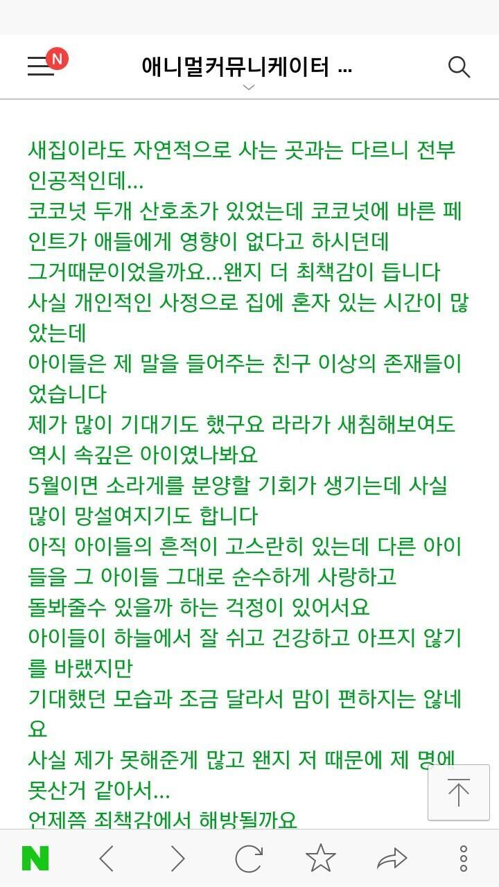 형제들 중에 내가 애들을 형제로 보는 것과 가장 유사하게 아마 라라였던 같아 고양이가 집사 보듯이 그냥 같이 사는 사람으로 보면