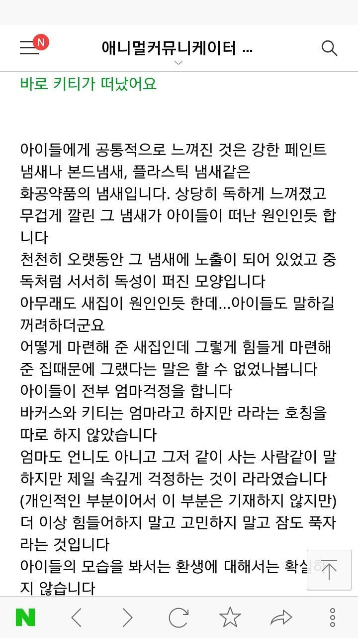 형제들 중에 내가 애들을 형제로 보는 것과 가장 유사하게 아마 라라였던 같아 고양이가 집사 보듯이 그냥 같이 사는 사람으로 보면