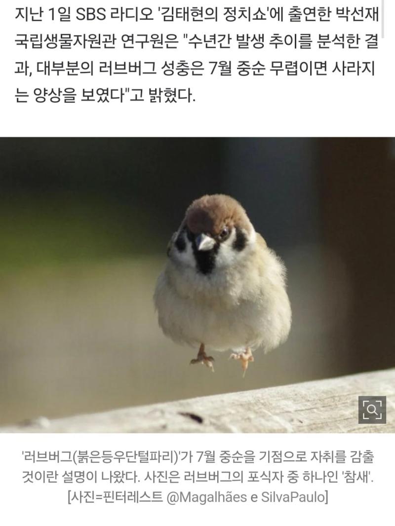 러브버그 포식자래 졸귀