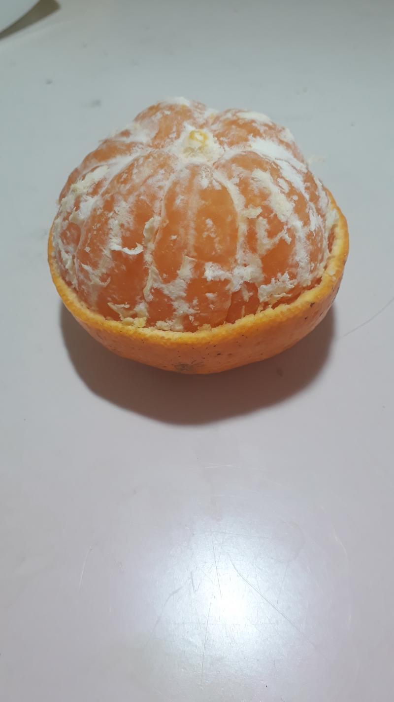 반귤