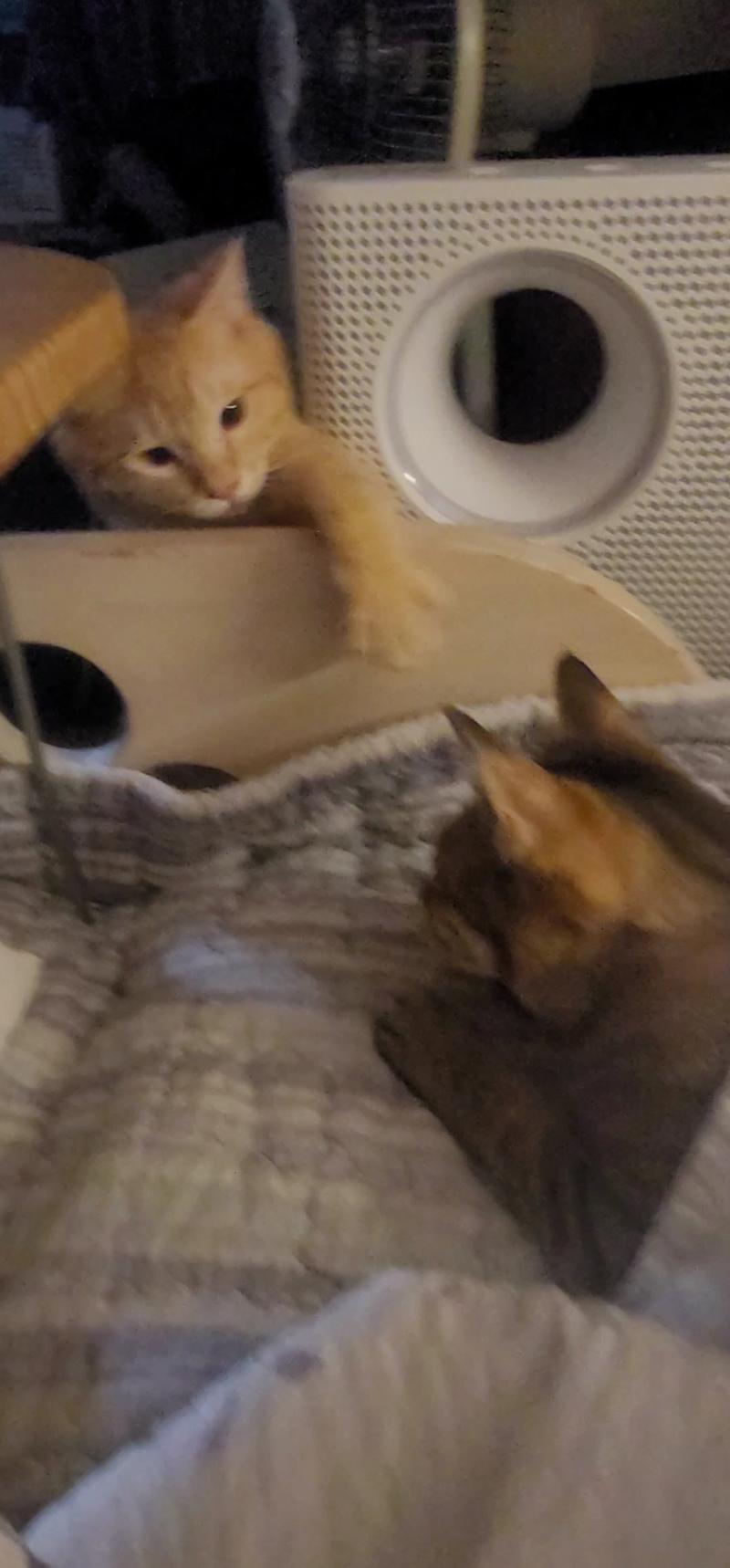 귀엽지