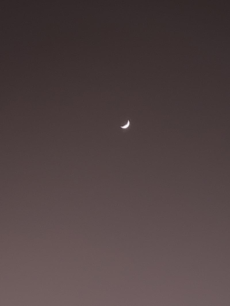 어제 폰카로 찍은 달사진 밤인데 보랏 인가