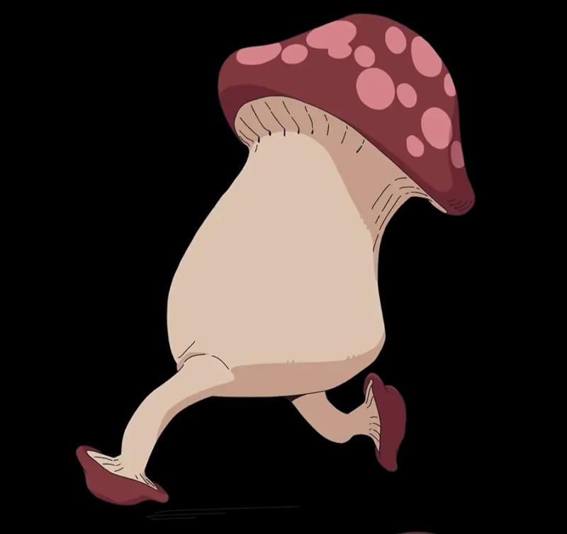 두개 어떰