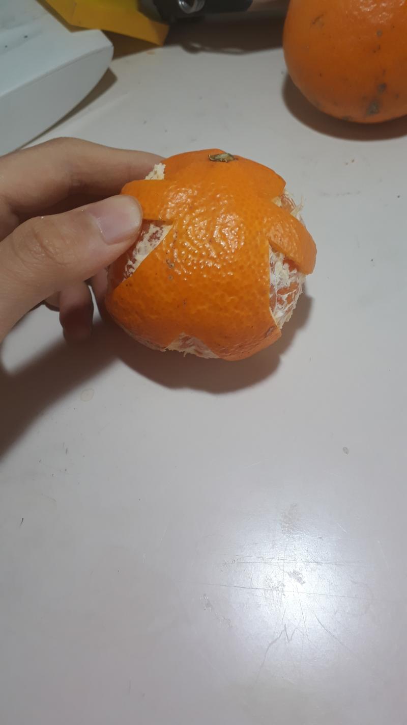 귤인간