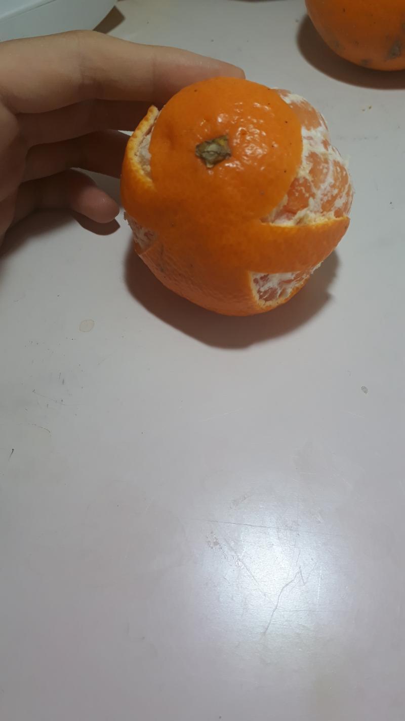 귤인간
