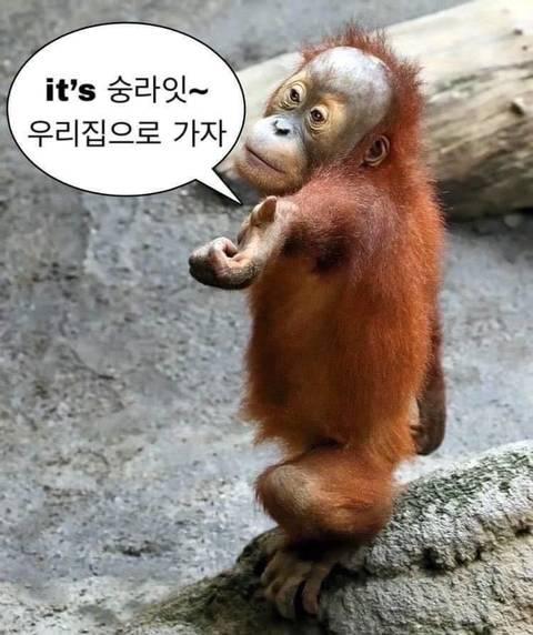 갑자기 추워진 날씨 다들 따뜻하게 입자 나는 감기 걸렸다