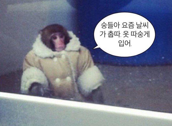 갑자기 추워진 날씨 다들 따뜻하게 입자 나는 감기 걸렸다