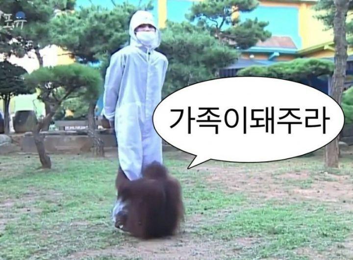 갑자기 추워진 날씨 다들 따뜻하게 입자 나는 감기 걸렸다