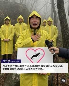 러브버그한테 무슨 환각 효과같은게 있는걸까 이쯤되니 무서움