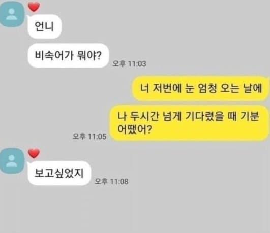 비속어가 뭔지 궁금했던 동생