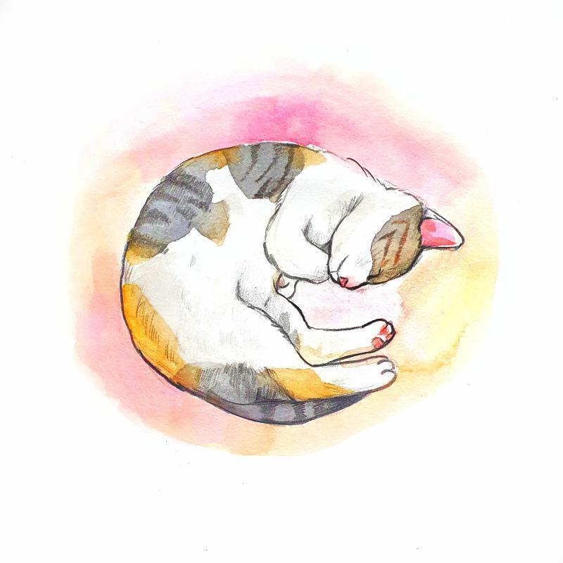 나도 고양이 최고라 생각해
