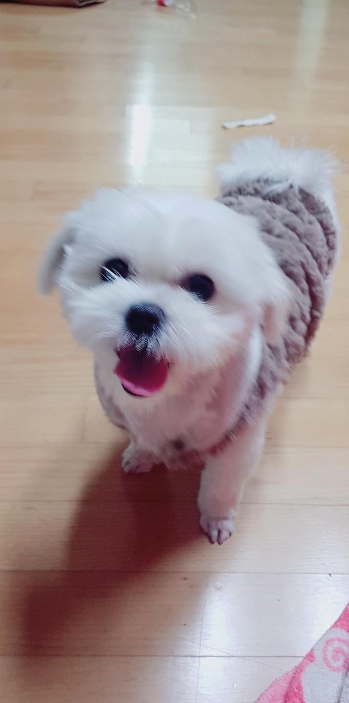 하지만 부인 얼굴을 보세요 어떻게 벌을 있습니까 니가 참아요 얘는 다리 하나에 이라고 미친스레주새끼