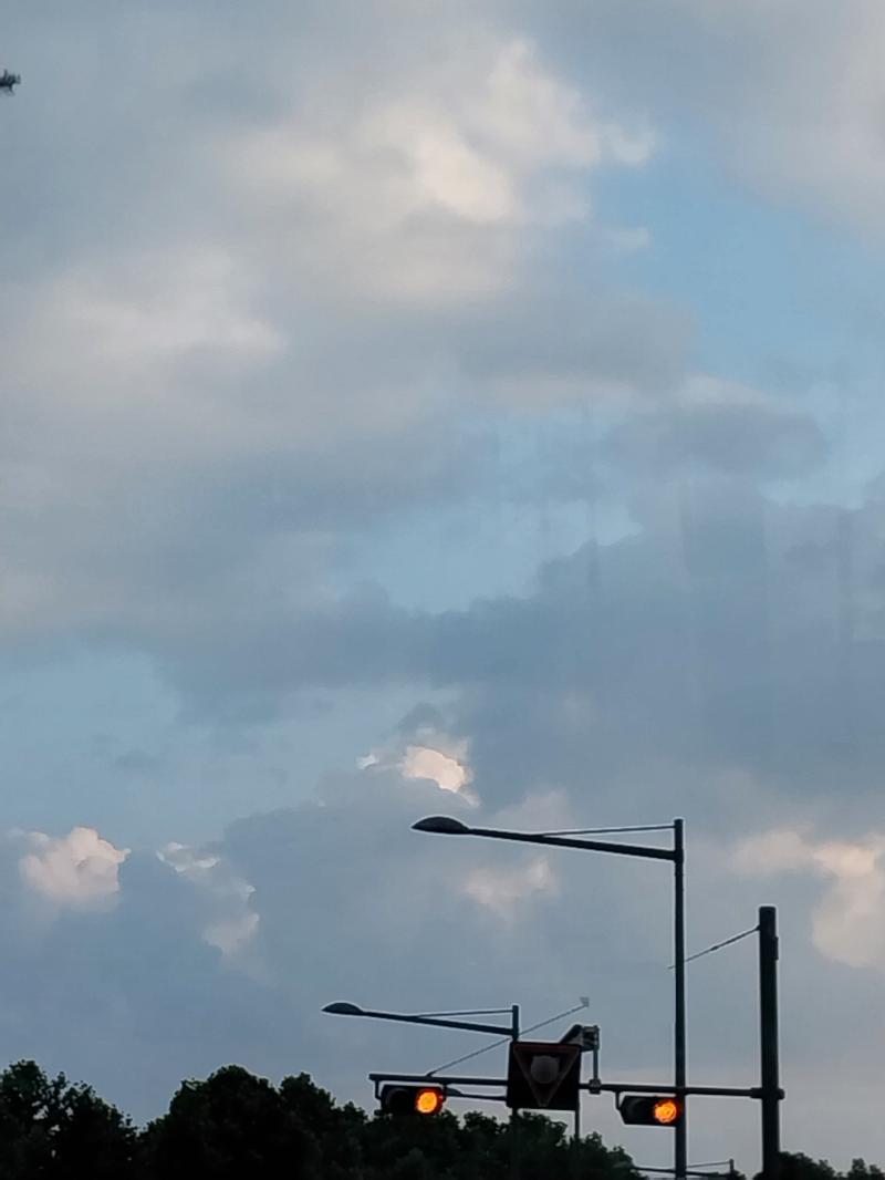 오후 정도에 찍은 거구 일본임
