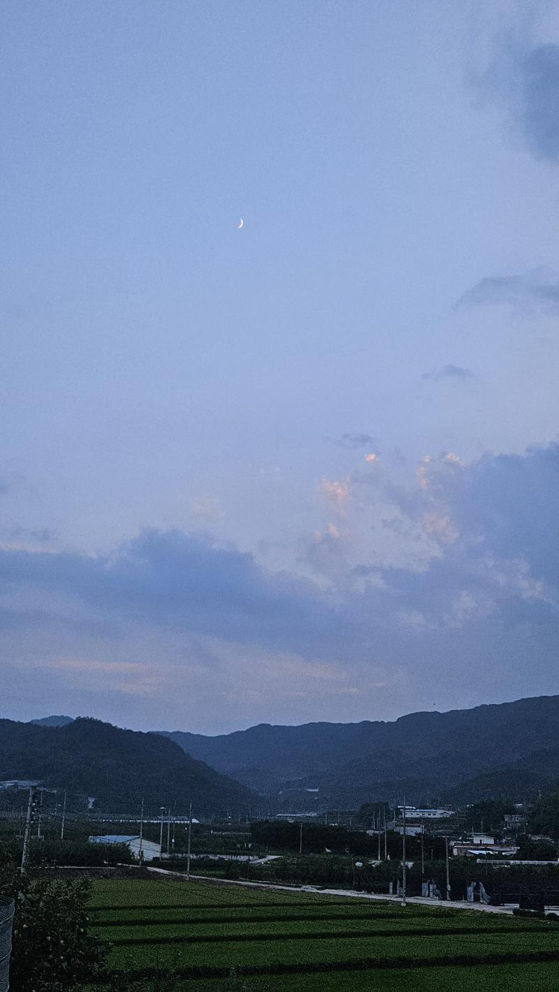 이대로 떠내려가거나 바람에 날아가거나 하늘이 쏟아져도 상관 없을 같다고 생각한