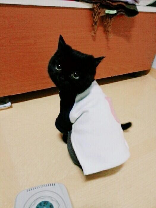 막내랑 별나라 첫짼데 둘이 같이있는 그림 하나만 그려줄 있을까 천천히 해줘도 괜찮아 우리 첫째 사진이 몇년 전에 찍은거라 저것밖에 없더라구 사진 둘이 너무 분위기가 다르긴 하지만