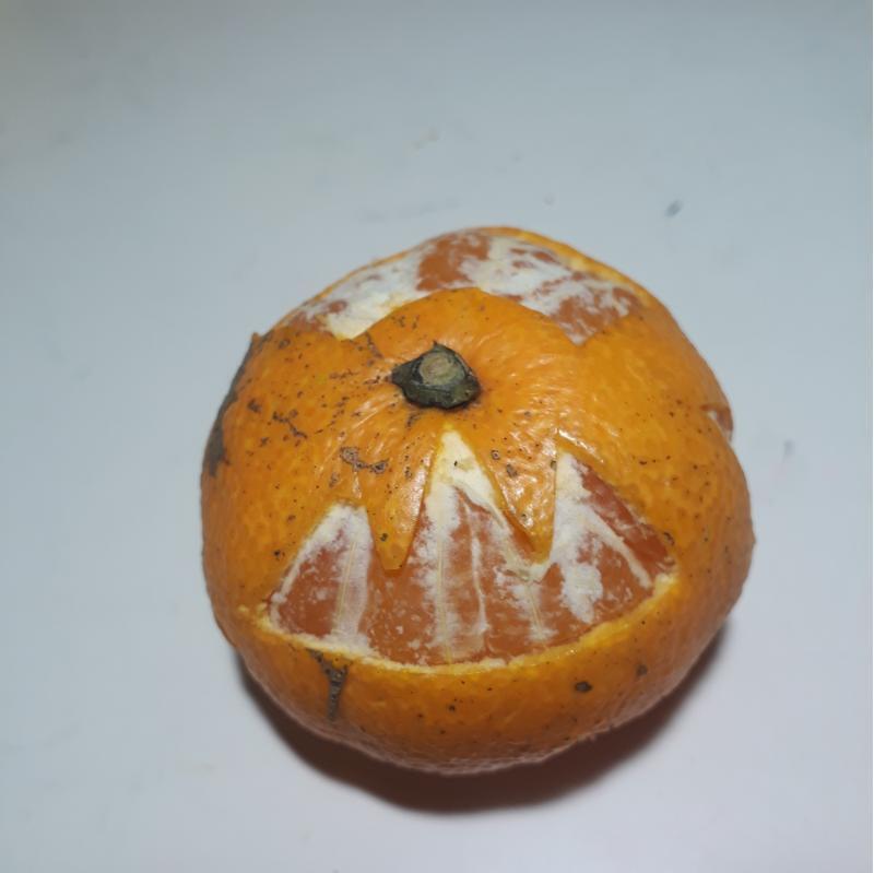 하트 왕관 세모 네모