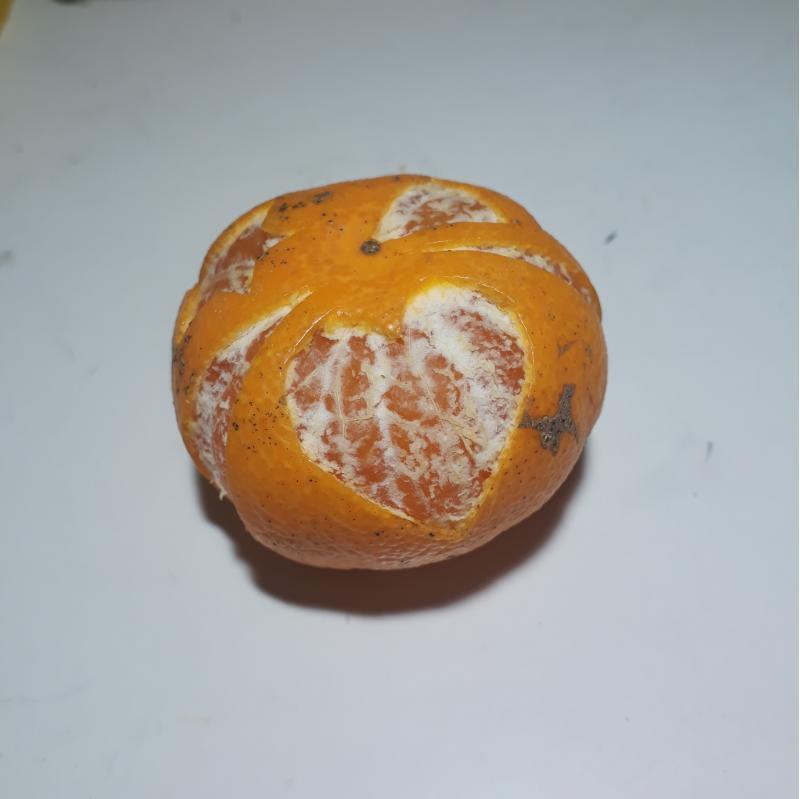 하트 왕관 세모 네모