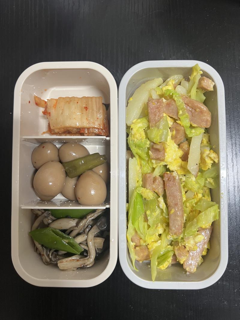 내일 가져갈 도시락 미리 올리는거 자취러로 밥은 햇반 김치 본가에서 뽀려온 메추리알 느타리버섯 볶음 햄과 감자가 들어간 양배추 계란볶음