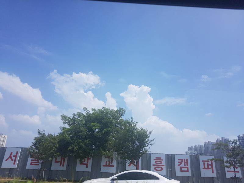 오늘찍은 사진 대방출