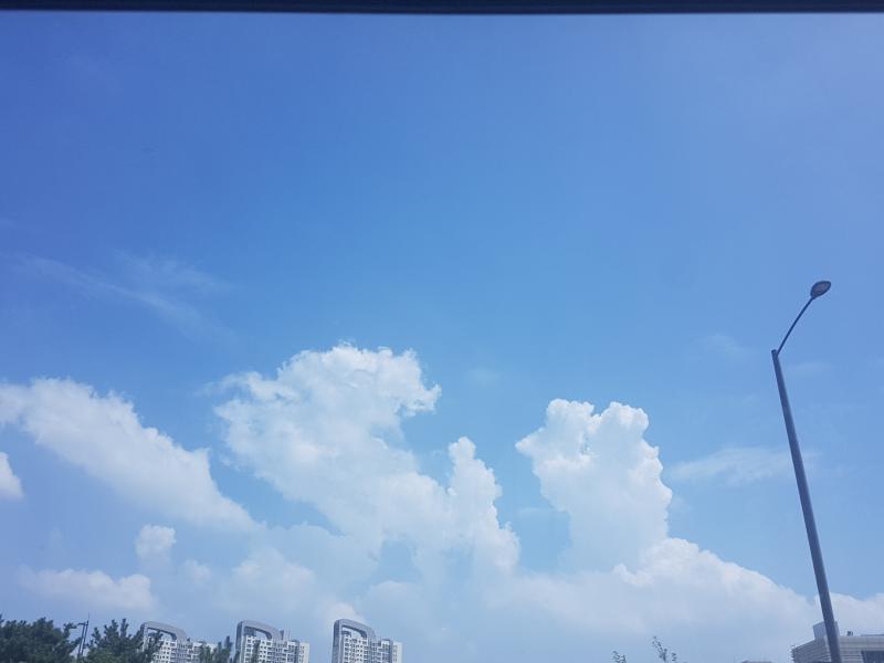 오늘찍은 사진 대방출