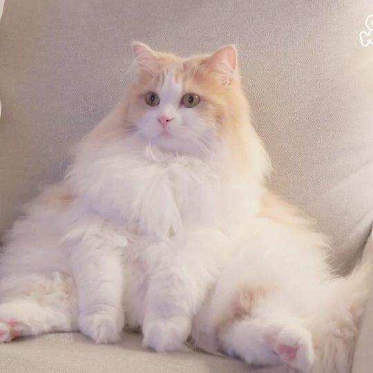 아는구만