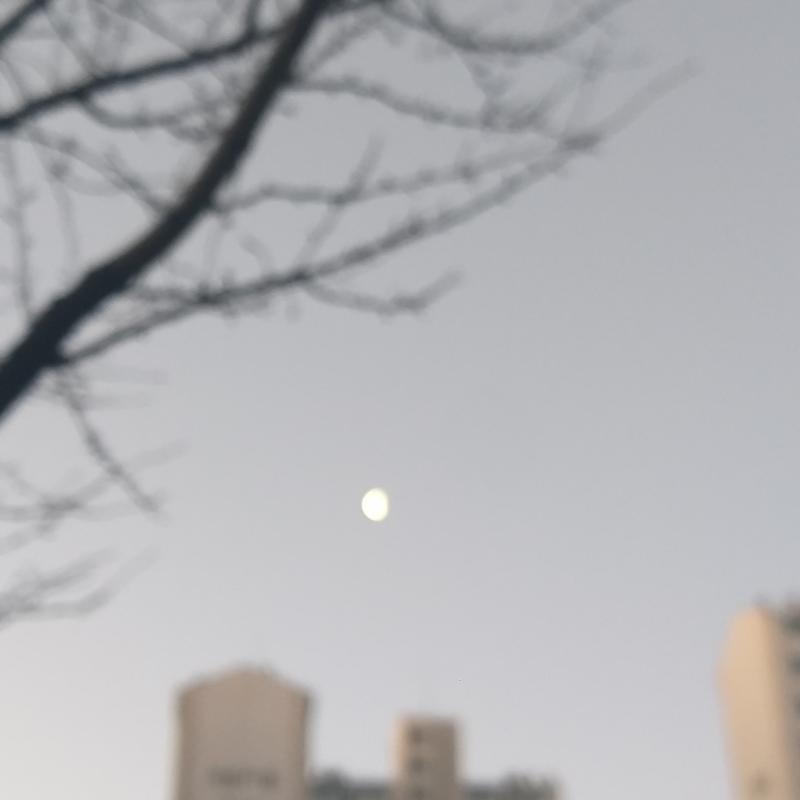 찍고시픈뒈
