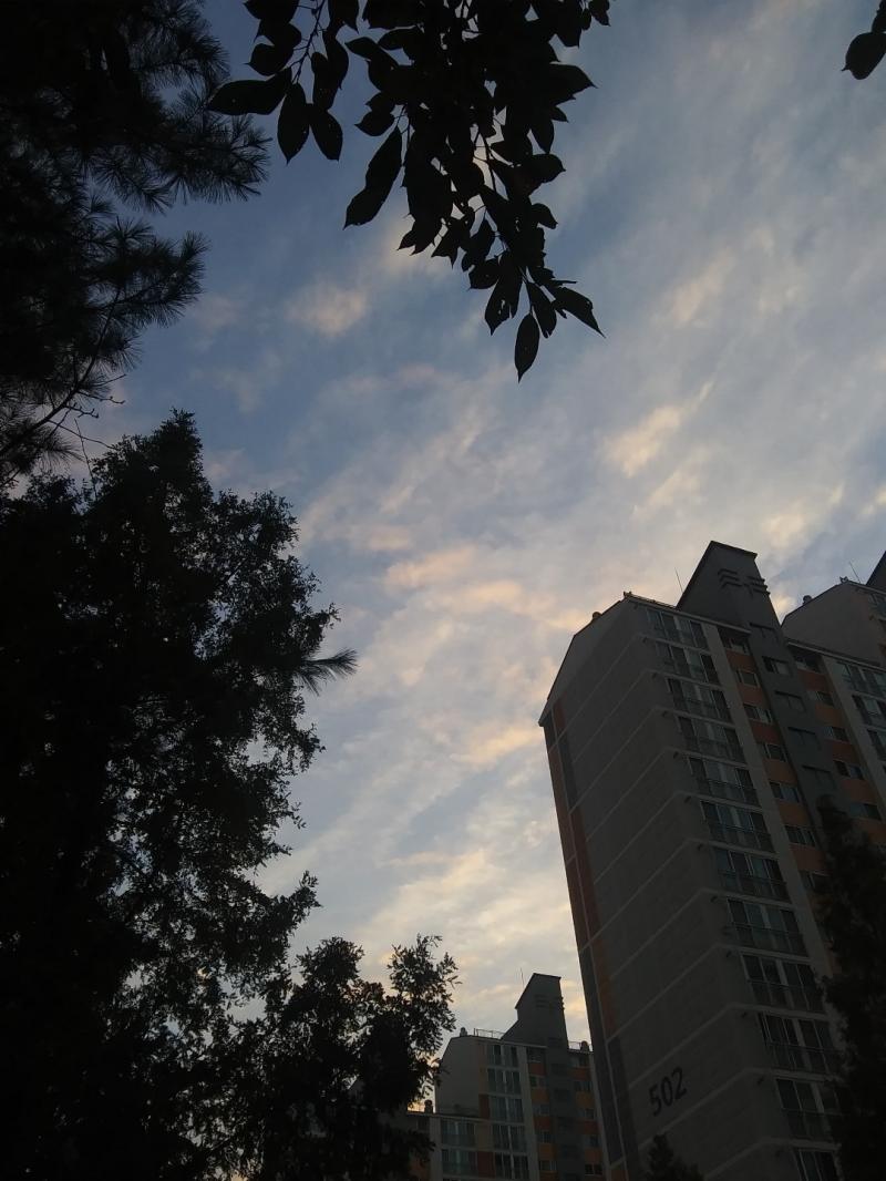오늘 우리 하늘도 그랬어