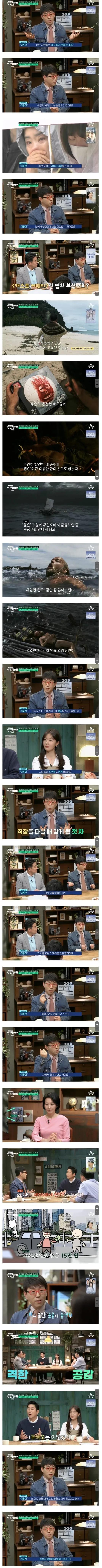 이동진 평론가가 생각하는 푸바오에 슬퍼하는 사람들