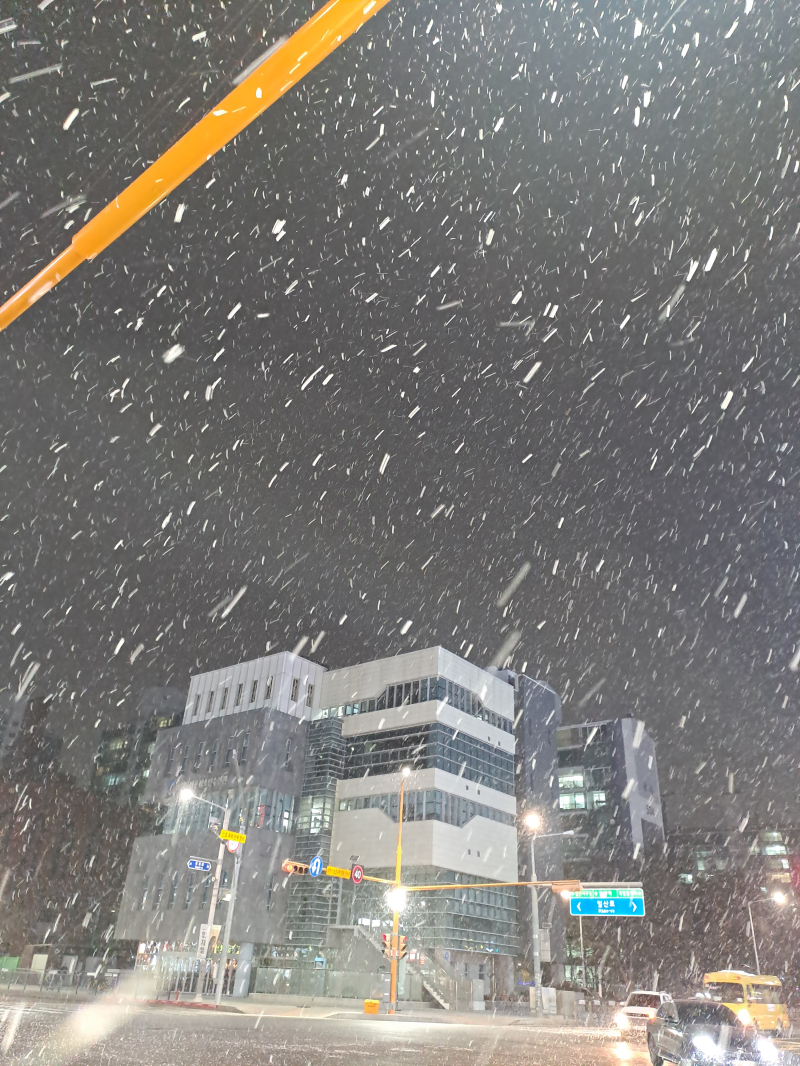 눈이 갑자기 엄청 오네