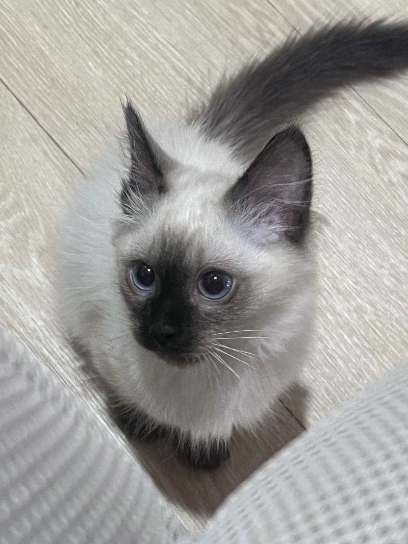 광고 아냐 같은 찍은 다른 사진