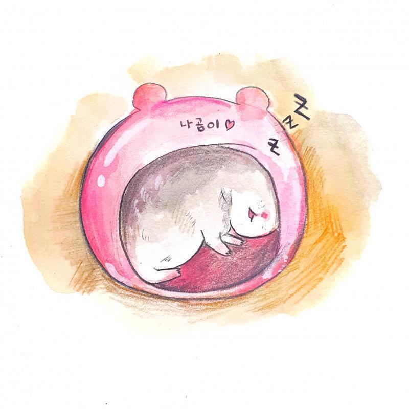 나곰이 완성