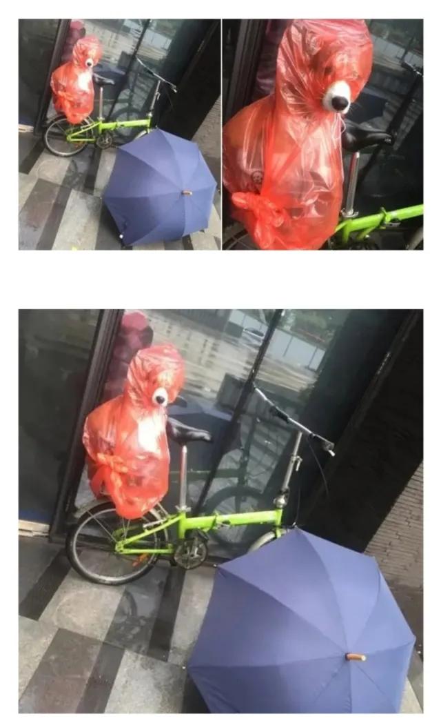 우비를 입은 강아지 모음