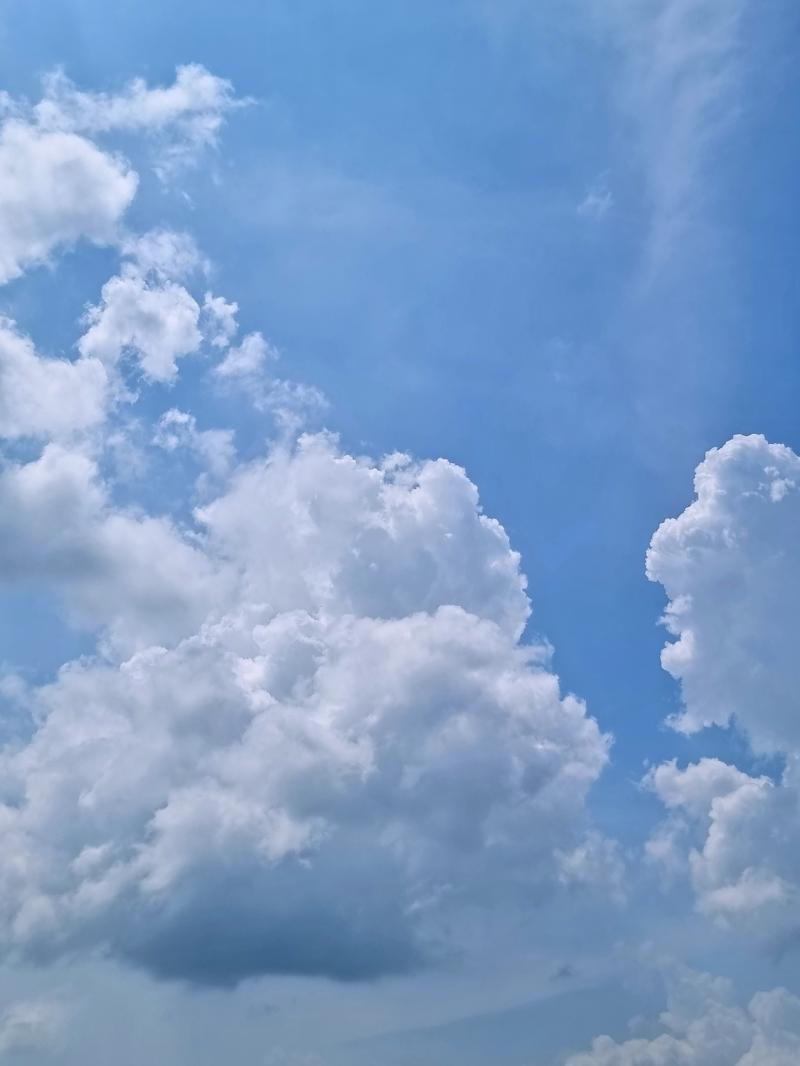 오늘도 몽글몽글 하네