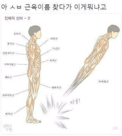 너가 웃길진 모르겠지만 내가 웃기는거 가져와봤엉