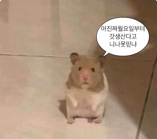 반데옾 씃당 공부 넘무 하기시러 근데 낼은 월요일이자나 아진짜월요일부터갓생산다고니나못믿냐 여러분 제가 낼부터도 나면 아주 욕을 해주세영 이거 후배드리 엣휴 고삼이 저러구 잇네
