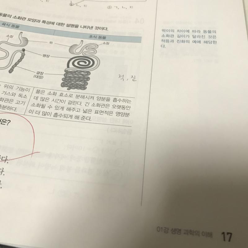 일단은 생명 강의 하나 들었다 지금 학원에서 나가고 있는 강의 따라잡으려면 하루에 개씩은 들어야 듯함 일단 좀만 자고 일어나서 생명 하나 듣고 나머지 화학 개를 들어야겠엉 인생