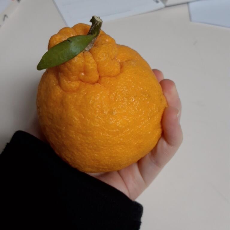 이쁘지