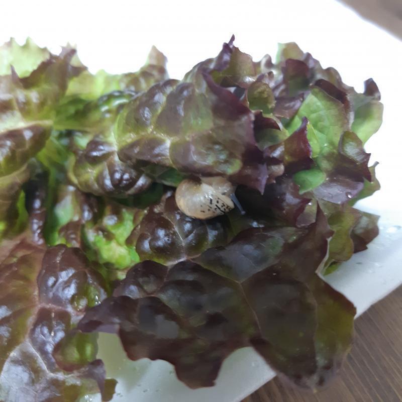 사진 첨부 맞당 망각 하고 있었네 쏘리
