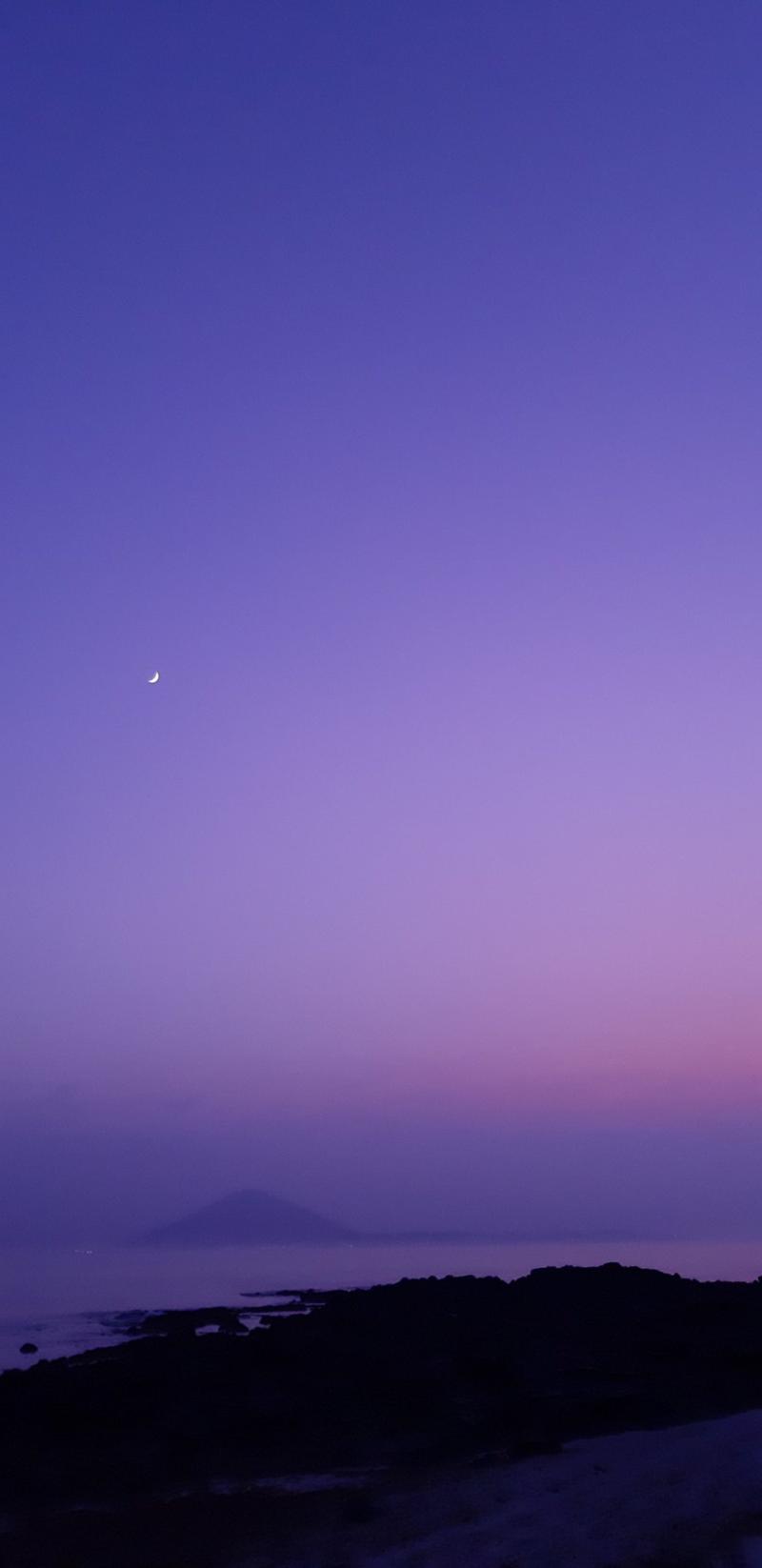사진은 복채야