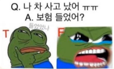 예시가 아니라 저거 밈있어 T애들은 저렇게 반응해도 인데사진속 f같이 반응할거같거든 각자의 엠비티아이로 무조건 저걸 답해야한다는 은연중의 강박이 있는거같아 이게 폐해라 생각함