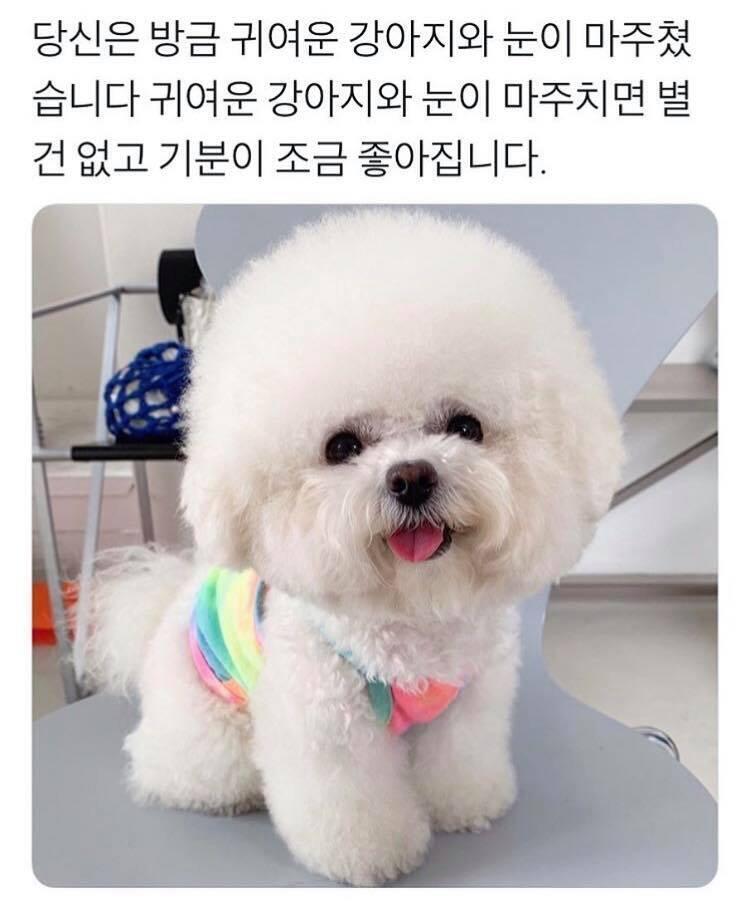 이제 그만 물어볼게 질문 많아서 귀찮을법도 한데 그래도 답해줘서 정말 고마워 스레주 오늘 쪼은 하루 보내