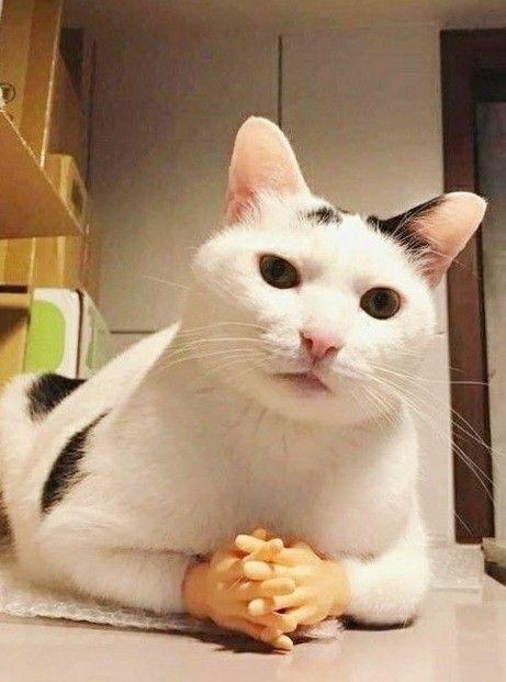 몇가지 질문해도 될까 안된다면 하나만 봐줘도 괜찮아 내가 지금 준비한 시험이 있는데 그게 얼마 남았어 이거 볼수 있을까 중요한 시험이고 개월간 준비했는데 조금 급한 감도 있고
