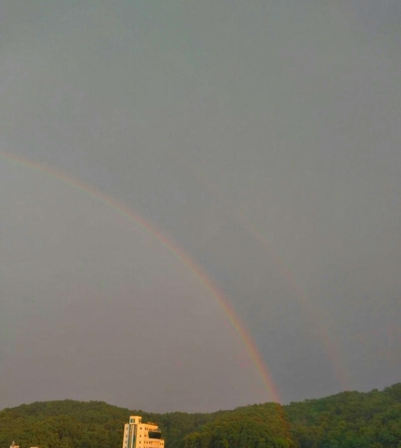🌈🏳️ 🌈