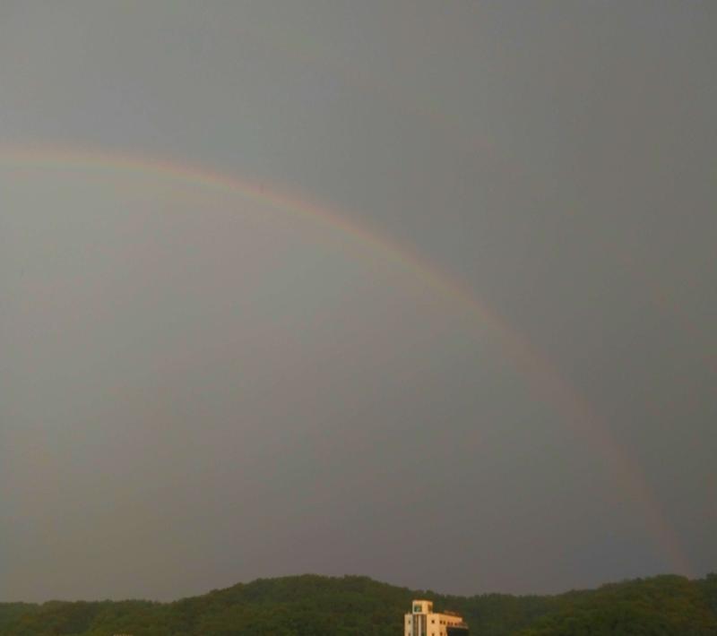 🌈🏳️ 🌈