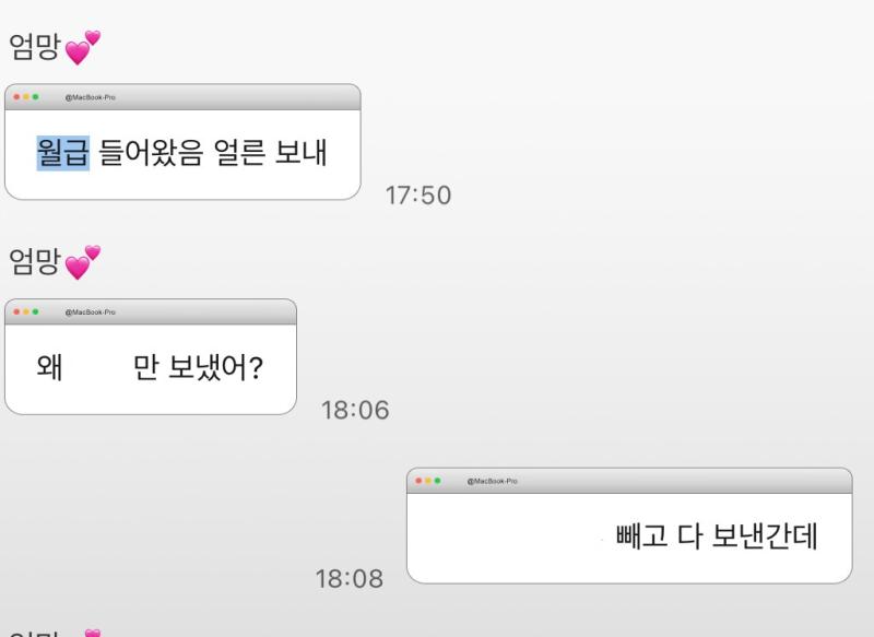 이것도 저번달 카톡 내용이고 만보냈냐니까 내가 보험비 만원 빼고 보냈다는 내용이야 이런식이고 절대 주작 아니고 보험비는 엄마 친구분이 보험설계사셔서 어느 보험사에서 얼마