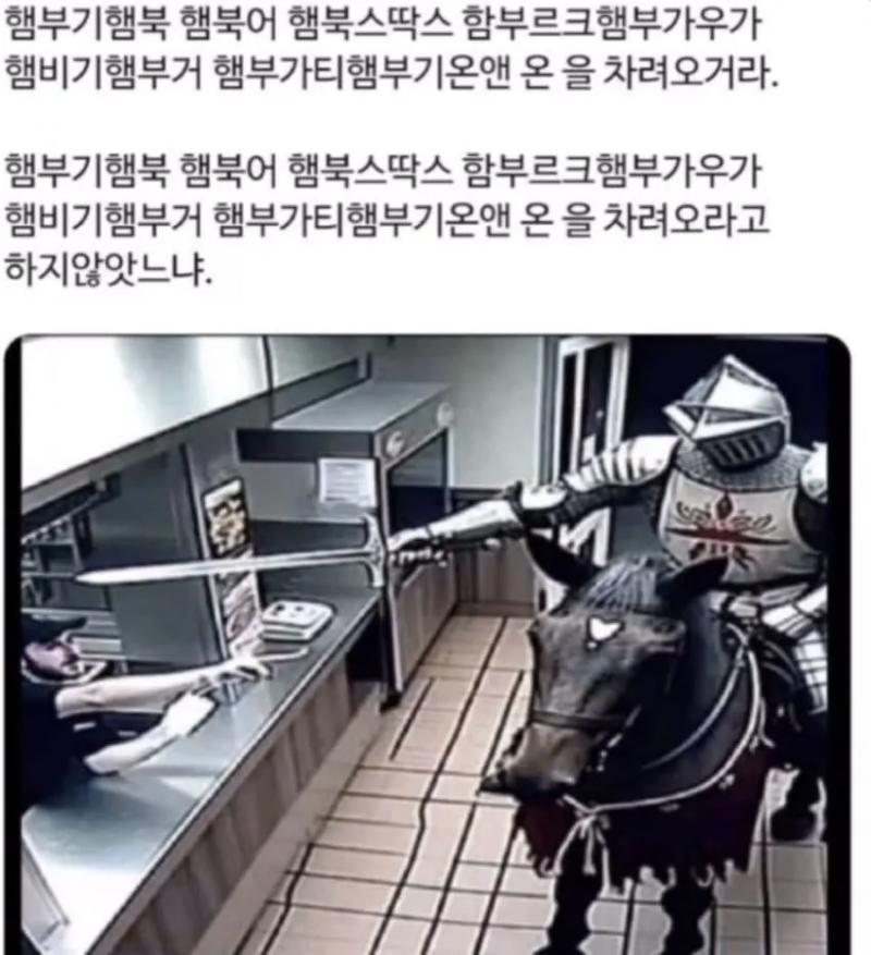 햄부기 기사의 종자부터 시작해보는건 어때 햄부기온앤온을 차려오너라